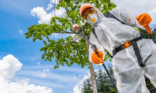 Identifying Common Tree Pests and Diseases in Trees: Signs, Symptoms, Prevention, and Treatment