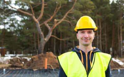 Protecting Trees During Construction Projects in Mississauga