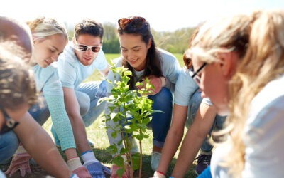 Community Tree Planting Initiatives in Mississauga: Grow Green, Give Back