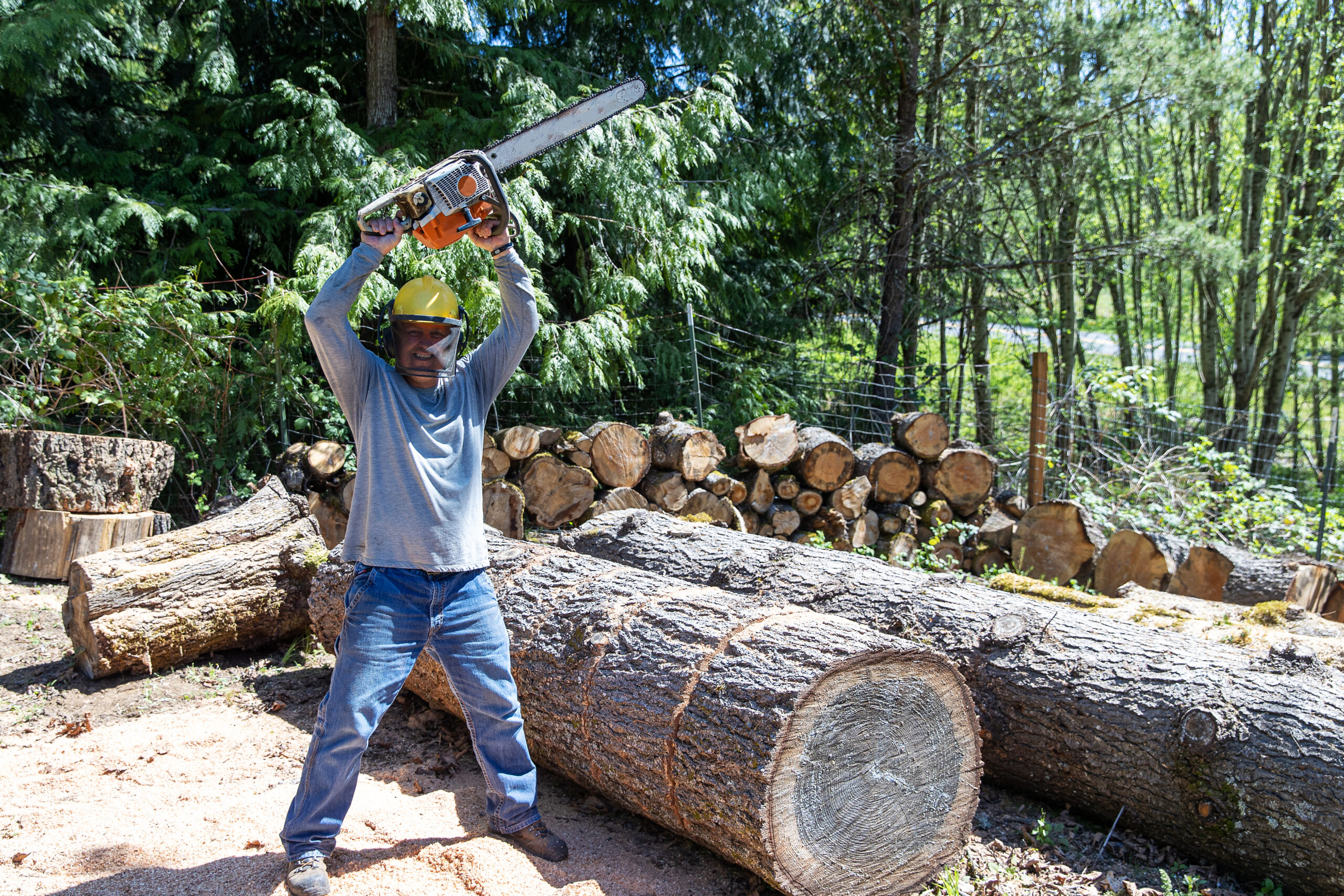 Tree Removal Expert Slicing Logs for Firewood Man in protective helmet cutting large tree trunk into firewood logs during professional tree removal in Toronto forested area