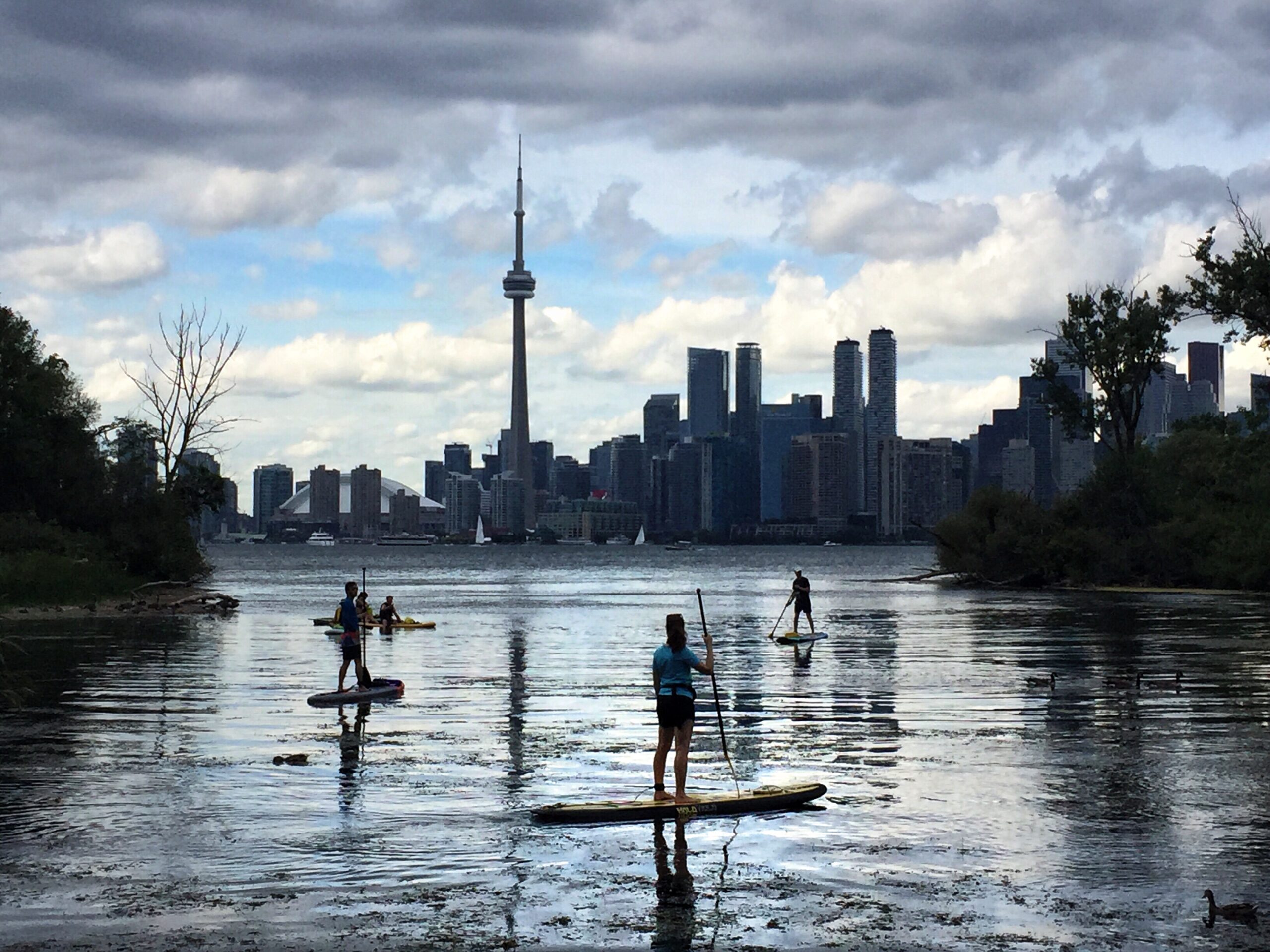 Professional arborists pruning a tall tree from lift platform in Toronto