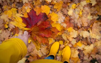 Toronto’s Fall Season: How to Prepare Your Gutters for Heavy Leaf Drop