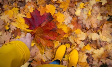 Toronto’s Fall Season: How to Prepare Your Gutters for Heavy Leaf Drop