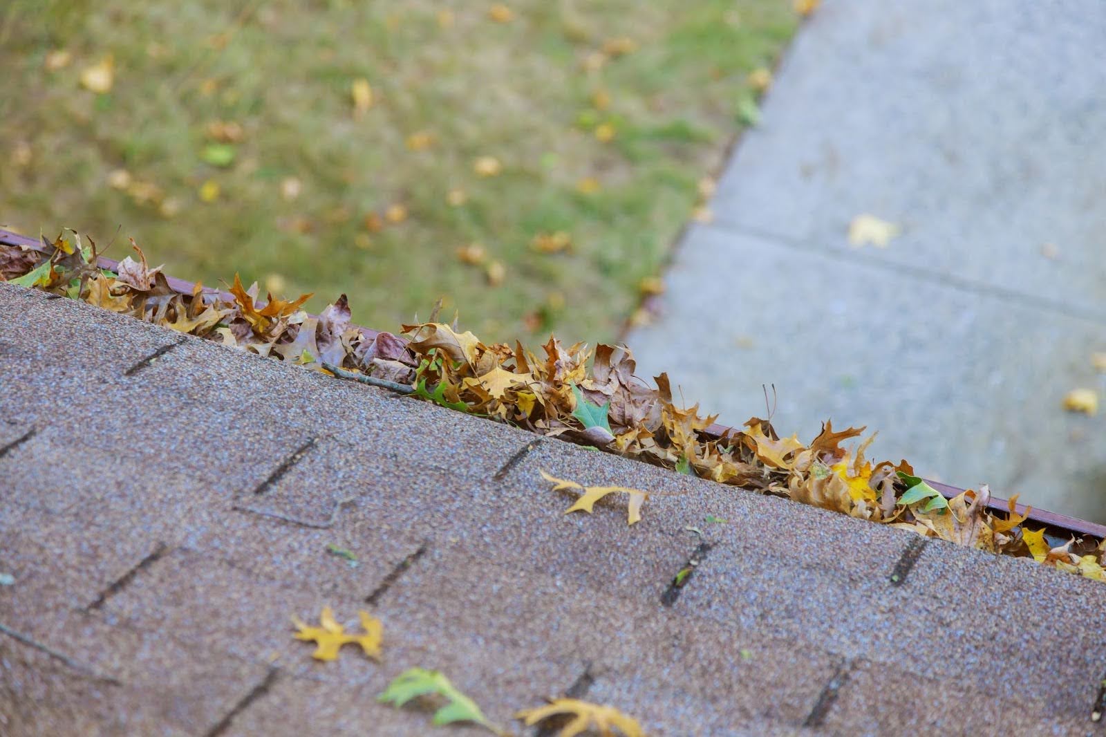 gutter-full-of-leaves-toronto Gutter filled with autumn leaves requiring gutter cleaning Toronto