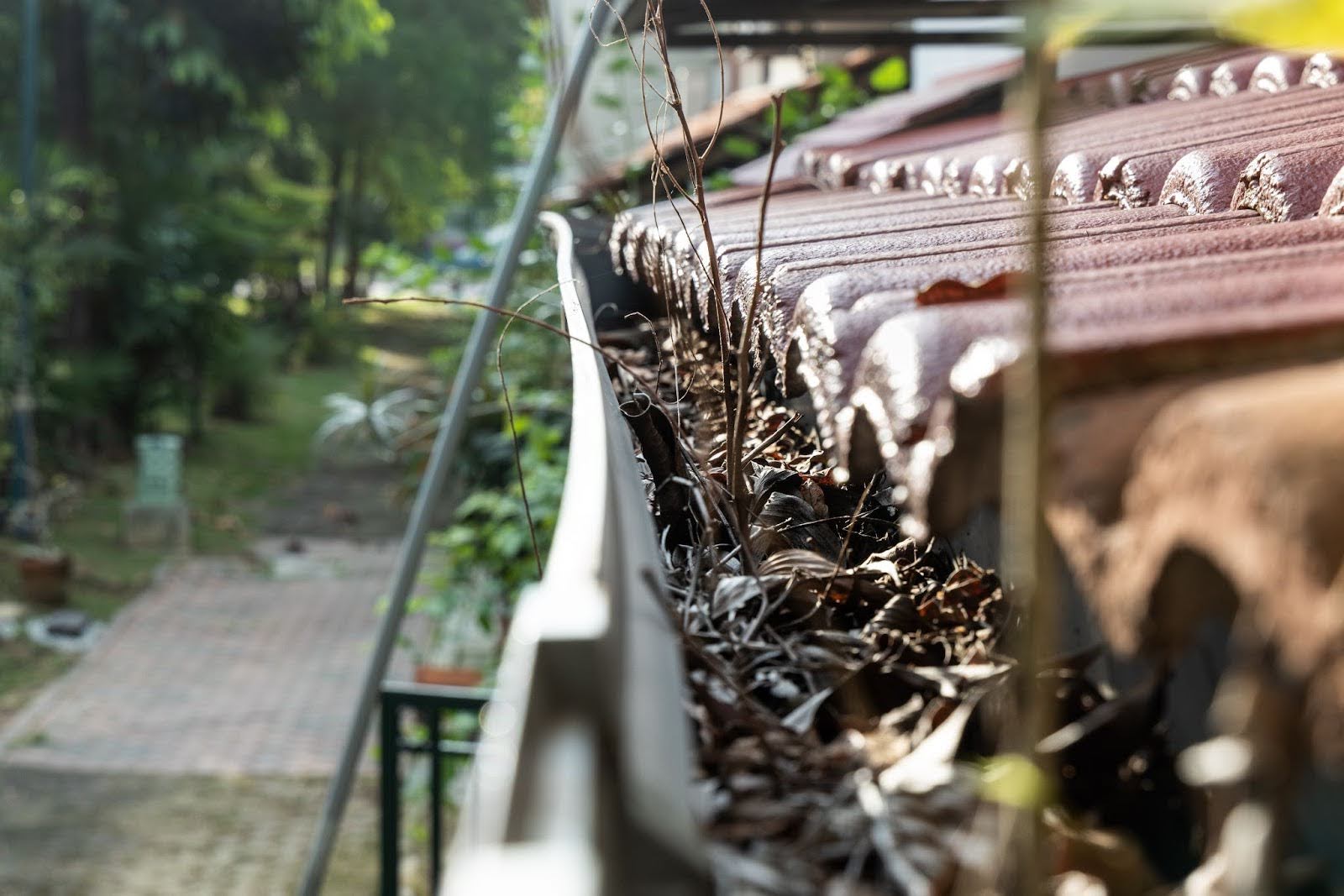 clogged-gutter-high-park-toronto Clogged roof gutter with dry leaves and branches needing professional gutter cleaning High Park Toronto