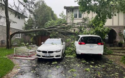 24/7 Tree Emergency Services in Toronto: Fast, Safe, and Reliable Response by Castor Tree Care