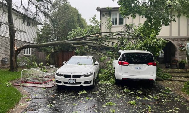 24/7 Tree Emergency Services in Toronto: Fast, Safe, and Reliable Response by Castor Tree Care