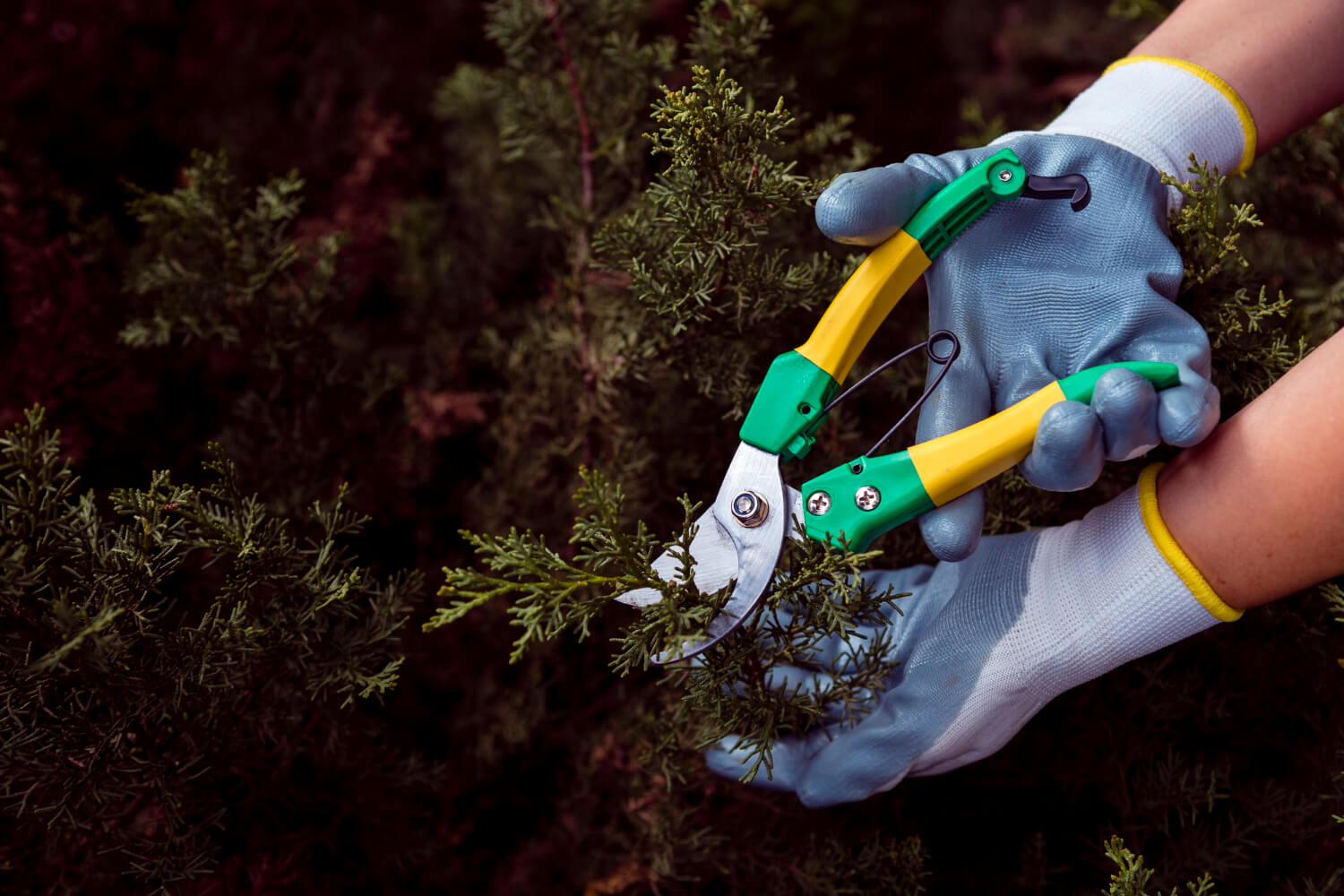 Clogged roof gutter with dry leaves and branches needing professional gutter cleaning High Park Toronto