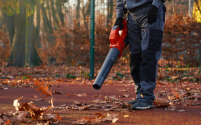 Keep Your Home Safe and Beautiful This Fall in The Beaches