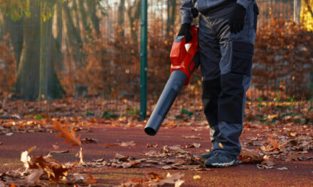 Keep Your Home Safe and Beautiful This Fall in The Beaches