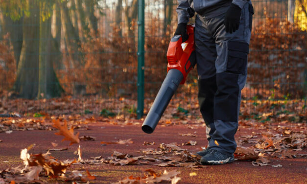 Keep Your Home Safe and Beautiful This Fall in The Beaches