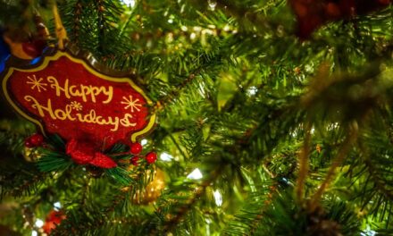 A SEASON OF GRATITUDE: CELEBRATING THE HOLIDAYS AND LOOKING AHEAD TO 2026