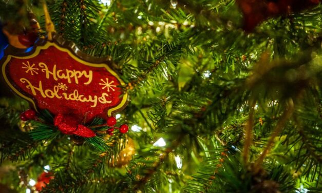 A SEASON OF GRATITUDE: CELEBRATING THE HOLIDAYS AND LOOKING AHEAD TO 2026