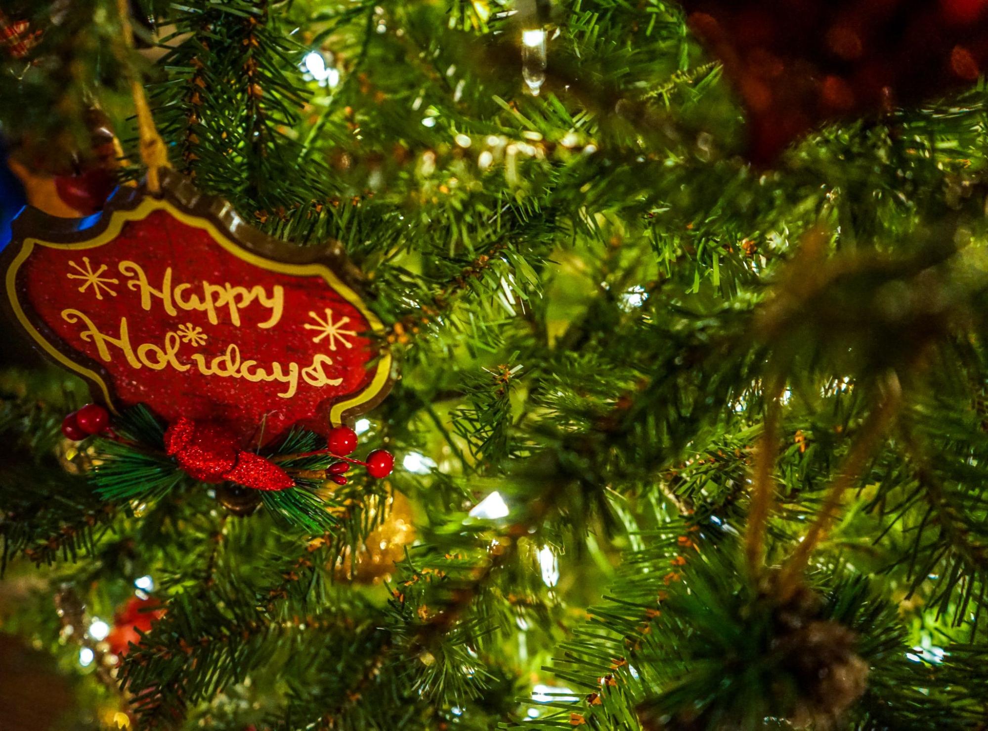 A Season of Gratitude: Celebrating the Holidays and Looking Ahead to 2026