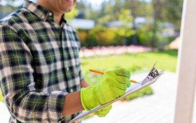 Spring Tree Care Checklist for Markham Homeowners
