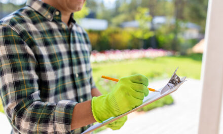 Spring Tree Care Checklist for Markham Homeowners