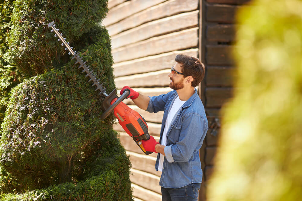 Benefits of Summer Tree Trimming in The Beaches
